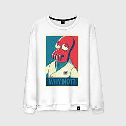 Мужской свитшот Zoidberg: Why not?