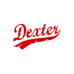 Свитшот хлопковый мужской Dexter, цвет: белый — фото 2