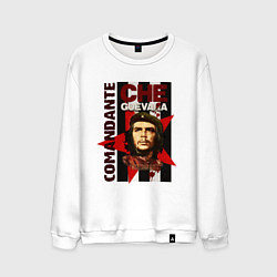 Свитшот хлопковый мужской Comandante, цвет: белый