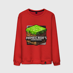 Мужской свитшот Minecraft: Pocket Edition