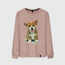 Свитшот хлопковый мужской Песик коржик, цвет: пыльно-розовый
