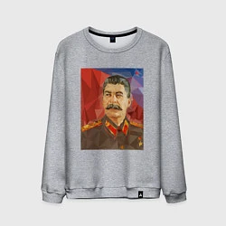 Мужской свитшот Сталин: полигоны