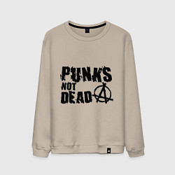 Мужской свитшот Punks not dead