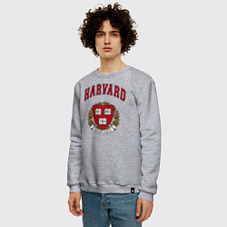 Свитшот хлопковый мужской Harvard university цвета меланж — фото 2