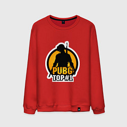 Свитшот хлопковый мужской PUBG Top 1, цвет: красный