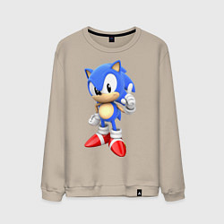 Мужской свитшот Classic Sonic