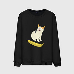 Мужской свитшот Cat no banana meme