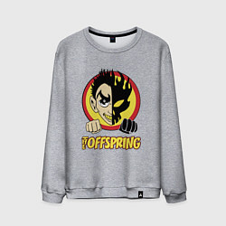 Свитшот хлопковый мужской The Offspring Boy, цвет: меланж