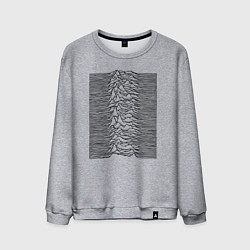 Мужской свитшот Unknown Pleasures