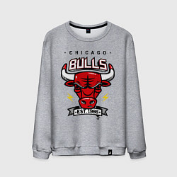 Мужской свитшот Chicago Bulls est. 1966