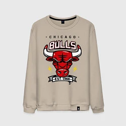 Мужской свитшот Chicago Bulls est. 1966