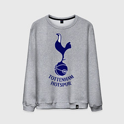 Мужской свитшот Tottenham FC