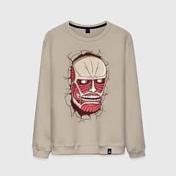 Свитшот хлопковый мужской Colossal Titan, цвет: миндальный