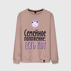 Свитшот хлопковый мужской Семейное положение: есть кот, цвет: пыльно-розовый