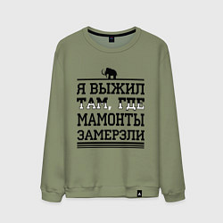 Свитшот хлопковый мужской Я выжил там, где мамонты замерзли, цвет: авокадо