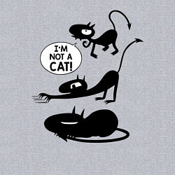 Свитшот хлопковый мужской I'm not a CAT!, цвет: меланж — фото 2