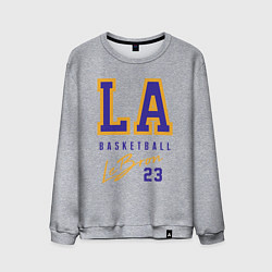 Свитшот хлопковый мужской Lebron 23: Los Angeles, цвет: меланж