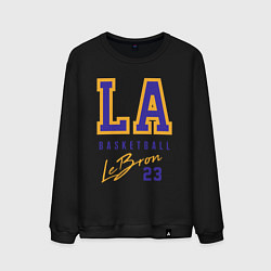 Свитшот хлопковый мужской Lebron 23: Los Angeles, цвет: черный