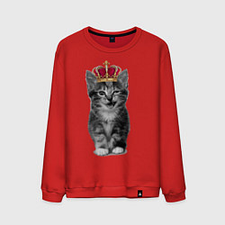 Свитшот хлопковый мужской Meow kitten, цвет: красный