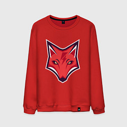 Свитшот хлопковый мужской Electro Fox, цвет: красный