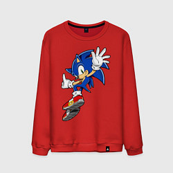 Свитшот хлопковый мужской Sonic, цвет: красный