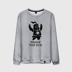 Мужской свитшот Praise the Sun