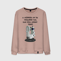 Мужской свитшот Геодезию любишь