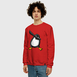 Свитшот хлопковый мужской DAB Pinguin, цвет: красный — фото 2