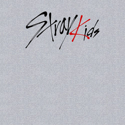 Свитшот хлопковый мужской Stray Kids, цвет: меланж — фото 2