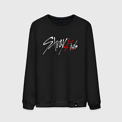 Мужской свитшот STRAY KIDS HYUNGIN