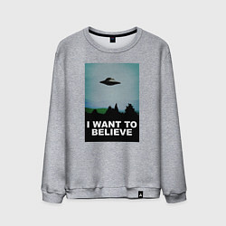 Свитшот хлопковый мужской I WANT TO BELIEVE, цвет: меланж