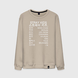 Свитшот хлопковый мужской Stray Kids, цвет: миндальный