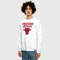 Свитшот хлопковый мужской CHICAGO BULLS, цвет: белый — фото 2