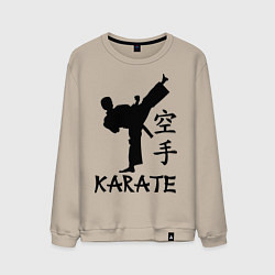 Мужской свитшот Karate craftsmanship