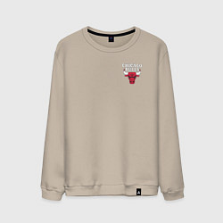 Мужской свитшот CHICAGO BULLS