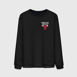 Мужской свитшот CHICAGO BULLS НА СПИНЕ