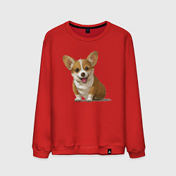 Мужской свитшот КОРГИ