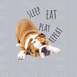 Свитшот хлопковый мужской Sleep Eat Play Repeat Бульдог, цвет: меланж — фото 2