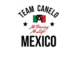 Свитшот хлопковый мужской Team Canelo, цвет: белый — фото 2