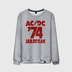 Мужской свитшот ACDC 74 jailbreak