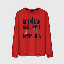 Свитшот хлопковый мужской Так выглядит идеальный мужчина, цвет: красный