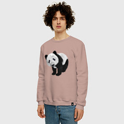 Свитшот хлопковый мужской Панда, цвет: пыльно-розовый — фото 2