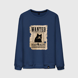 Мужской свитшот Кот