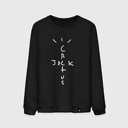 Свитшот хлопковый мужской CACTUS JACK, цвет: черный