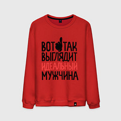 Свитшот хлопковый мужской Вот так выглядит идеальный мужчина, цвет: красный