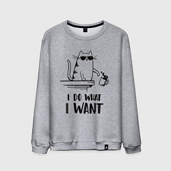 Свитшот хлопковый мужской I do what i want, цвет: меланж
