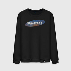 Свитшот хлопковый мужской Sqwozbab logo, цвет: черный