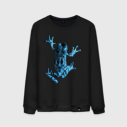 Свитшот хлопковый мужской Лягушка Сериал за гранью, цвет: черный