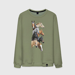 Свитшот хлопковый мужской Лошади, цвет: авокадо