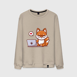 Свитшот хлопковый мужской Cute fox and laptop, цвет: миндальный